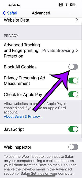 how to allow cookies on iPhone 15